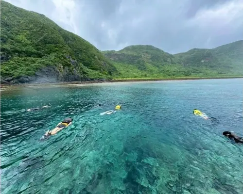 [Maximum visibility] Snorkel with tropical fish {Enjoy the ocean teeming with fish}