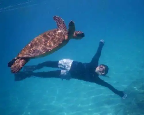 [Ishigaki Island/Blue Cave] A popular spot known to islanders/Fukidzu River sightseeing boat snorkeling