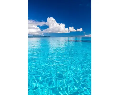 【石垣島/1日】シュノーケリングツアー　八重山の青い海で最高の体験を！　水中写真無料プレゼント☆　泳ぎが苦手なお客様も大歓迎‼