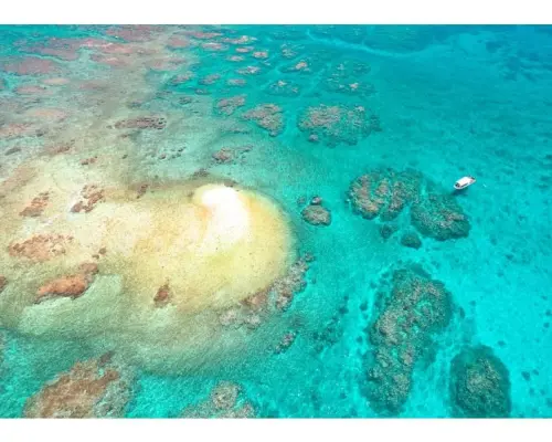 【宮古島・八重干瀬】日本最大のサンゴ礁群へボートで行く！八重干瀬シュノーケルツアー【写真/ドローン付】