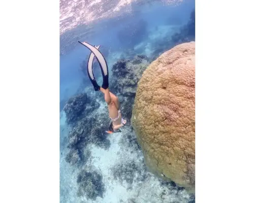 自由潜水课程和摄影