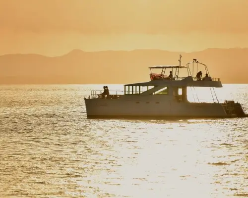 【石垣島】ダイナミックな夕陽を眺めるサンセットクルーズ！黄金色に輝くマジックアワーで感動体験