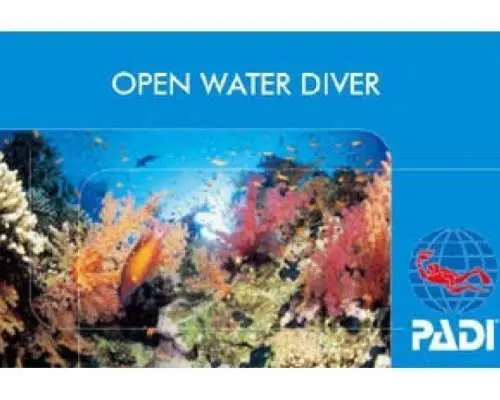[Okinawa Prefecture, Kerama Islands] Free boarding on the final day in the Kerama Islands! PADI Open Water Course *Whale watching included from January to March