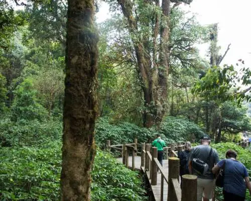 [Japanese Guide] Doi Inthanon National Park Full Day Tour | Thailand