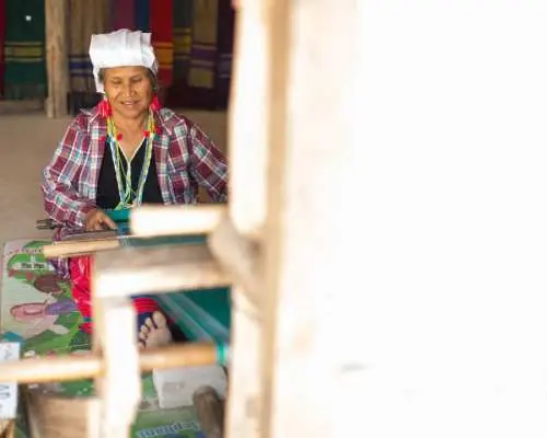 [Japanese Guide] Doi Inthanon National Park Full Day Tour | Thailand