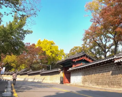【韓國旅遊】KHH長榮限定GO～樂天樂園、星空圖書館、抱川精彩景點、傳統市場韓屋村五日