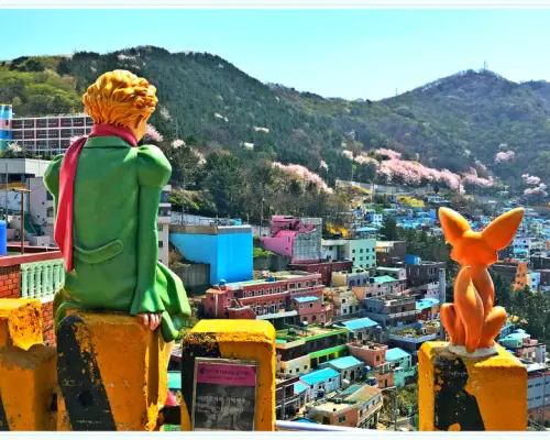 【韓國旅遊】春饗全羅南道～光陽梅花村、求禮山茱萸花、海岸觀光列車、五星溫德姆飯店五日