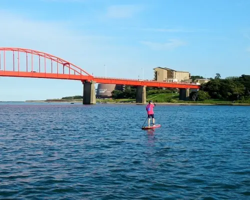 [Ibaraki / Oarai Coast] SUP experience course