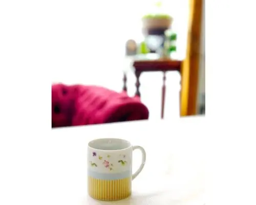 【新宿】ポーセラーツ体験♪ 自分だけのオリジナル食器を作りたい方・カップル、女子会の思い出に！新宿駅より徒歩3分！