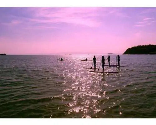 [Summer/Autumn Recommendation! Sunset SUP] Includes photos and drinks at the cafe after the experience.