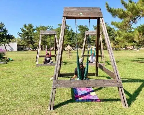 【滋賀・琵琶湖】湖畔で安心 低空ハンモックヨガ