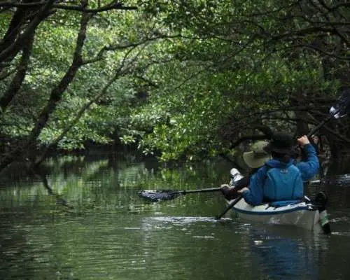 [Iriomote Island/Half-Day Tour] Trekking to the mysterious Kula Falls! A fun tour even in the rain!!