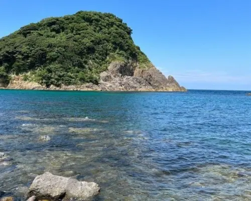 【兵庫・美方】ライセンスをお持ちの方限定！透明度抜群の香住の海を堪能しに行こう＜ビーチ1ダイブプラン＞