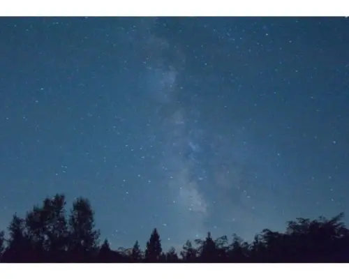 【沖繩，西表島】繁星滿天！夜間劃獨木舟和皮艇，觀賞流星和海中發光的浮游生物。
