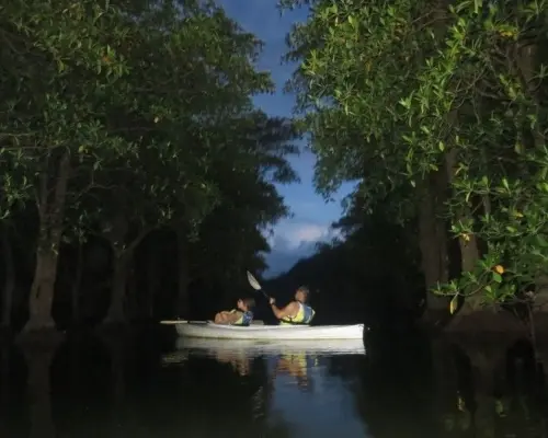 【沖繩，西表島】繁星滿天！夜間劃獨木舟和皮艇，觀賞流星和海中發光的浮游生物。