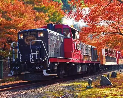 쿄토保津kawa遊船、嵯峨야노觀光小화車一日遊