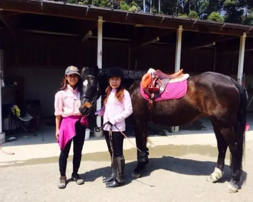 [Nara - For beginners!] Horseback riding experience (20-minute course)