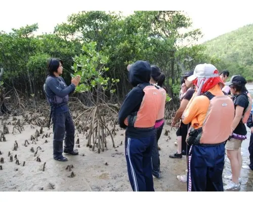 [Iriomote Island] Mariyudu Falls and Canoeing (with lunch box) (for 2 or more people)