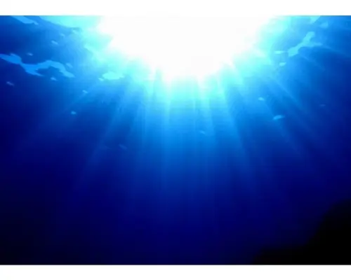 ♪熱海で体験ダイビング♪　約1.5時間　初心者OK!　人気の熱海で体験ダイビング！