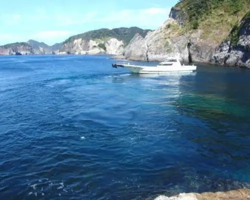 [Minami-Izu, Nakagi] Early Bird Discount: Hirizo Beach Snorkeling Tour (1-Day Course) from ¥13,000 (Full Rental Equipment & Lunch Included)