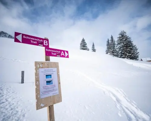 Snowshoeing incl. ticket cable car and cheese fondue from Flums