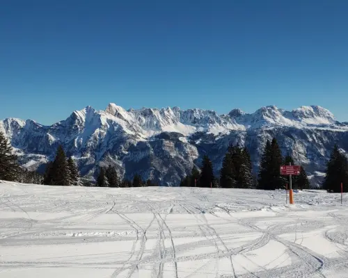 Private skiing lessons for adults and children Flumserberg