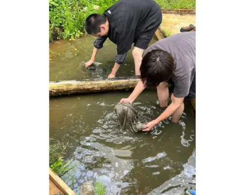 【石川・金沢】『景清の里』釣部田んぼ染め体験と里山を歩く