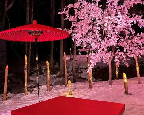 彩凛華（さいりんか） 入場チケット