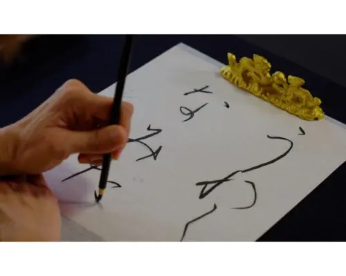 【香川縣善通寺】在與日本佛教界偉大人物空海相關的寺廟中，欣賞用獨特的日本文字「假名文字」書寫的書法作品，並飽覽壯麗景色。