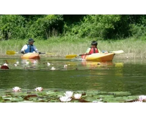 [Tottori, Uradome Coast] Enjoy the four seasons! Kayaking experience at the sand dune oasis "Tanakaike Pond" ♪