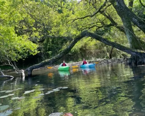 [Tottori, Uradome Coast] Enjoy the four seasons! Kayaking experience at the sand dune oasis "Tanakaike Pond" ♪