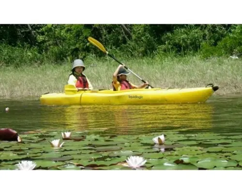 [Tottori, Uradome Coast] Enjoy the four seasons! Kayaking experience at the sand dune oasis "Tanakaike Pond" ♪
