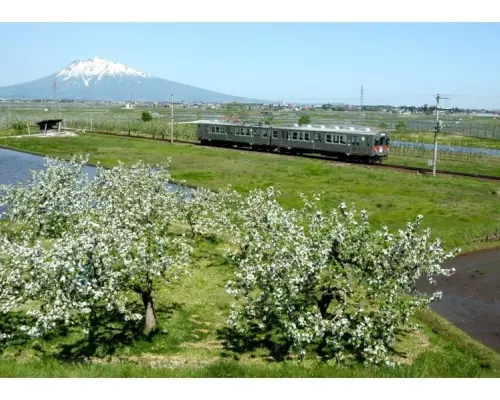[Aomori/Tsugaru] Konan Railway Daikoku-sama Ticket: One-day free pass for the Owani and Konan lines
