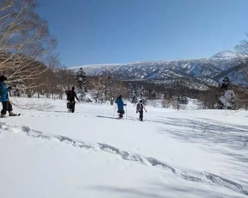 【青森】八甲田雪鞋探險之旅（含青森站往返計程車接送）