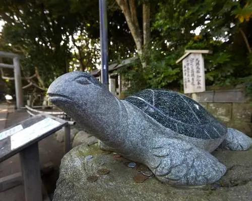 【茨城賞花一日遊】 偕樂園「水戶梅花祭」＆雨引觀音河津櫻＆酒列磯前神社｜東京出發