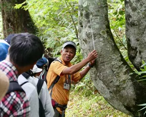 <Beginner Hike> Easy day trip! Hike around Oze with a guide, approximately 5 hours stay [Departing from Tokyo]