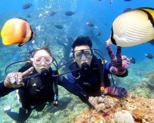 ボートでGO！青の洞窟体験ダイビング★GoPro水中写真★専属水中ガイド★自社専用ボート★餌付け体験