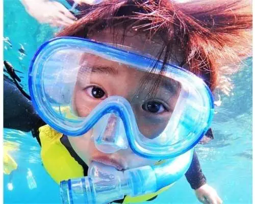 Private plan [Near Churaumi] Participation by any age! Beach snorkeling [Photo shoot, feeding experience, towels included] Motobu, Northern, Yanbaru