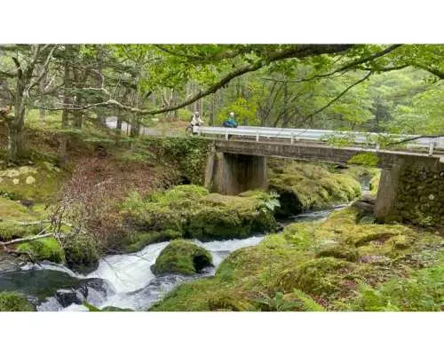 小田代原＆千手ケ浜フォレストライド（約18km）【Eバイクセルフガイドツアー・赤沼自然情報センター発着】
