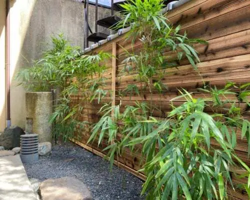 【京都市】*:._京都産ヒノキ香炉で楽しむ昔ながらの［お香/10個］手作り体験_.:*  ミニお土産付き