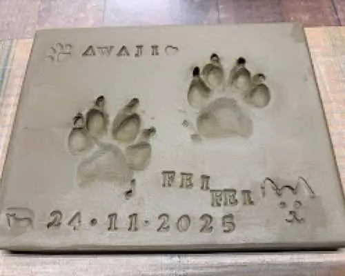 [Minami Awaji City, Hyogo] This popular "one-touch experience" uses real clay roofing tiles from Awaji Island to leave your dog's footprints.