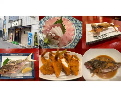 [Okinawa, Ishigaki Island] Beginners, families, and couples welcome! Enjoy tropical fishing in Okinawa! Half-day live bait fishing tour [AM/PM / Held twice a day]