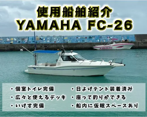 [Okinawa, Ishigaki Island] Beginners, families, and couples welcome! Enjoy tropical fishing in Okinawa! Half-day live bait fishing tour [AM/PM / Held twice a day]