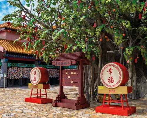 Hong Kong: Lantau Ngong Ping 360 Cable Car tickets  with priority boarding and direct city transfer