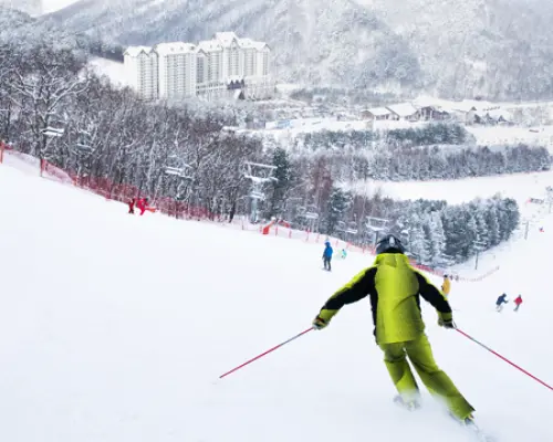 Seoul/Incheon Airport ↔ Yongpyong Ski Resort Shuttle Bus (Purple Bus)