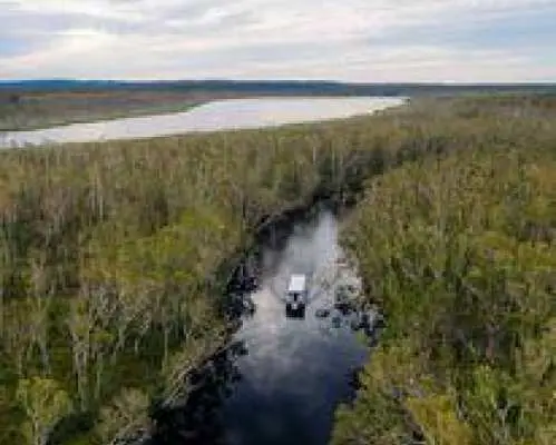 Wildlife River Cruise & Microbrewery Lunch Experience | Noosa Everglades| Australia