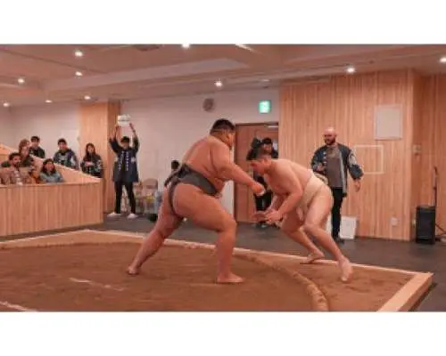【東京，新宿】以觀眾身分觀賞相撲表演，體驗根植於傳統的日本文化