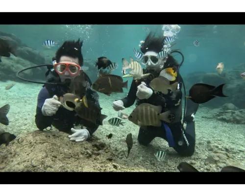 Experience/FUN Diving [Okinawa Main Island, Blue Cave, etc.] ♡ Beginners, Solo Travelers, Groups (Japanese/English)