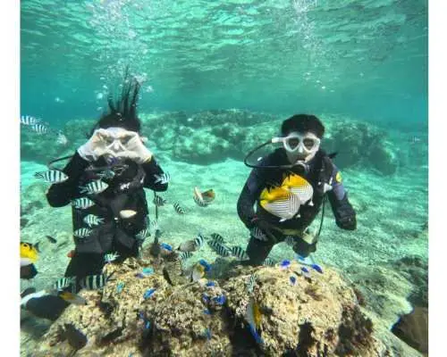 Experience/FUN Diving [Okinawa Main Island, Blue Cave, etc.] ♡ Beginners, Solo Travelers, Groups (Japanese/English)