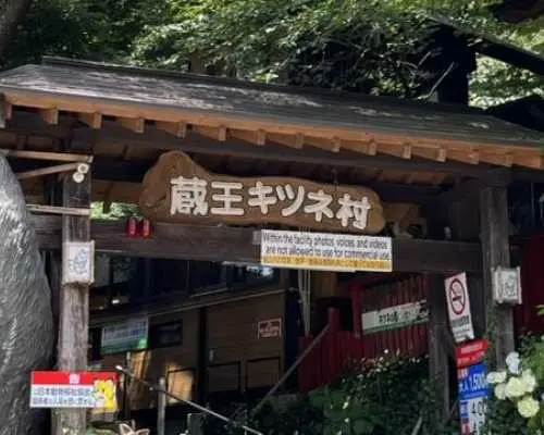 宫城藏王狐狸村 + 红白高级草莓采摘体验 | 一日巴士游，含白石梅面午餐及竹驹神社参观（仙台站出发/到达）